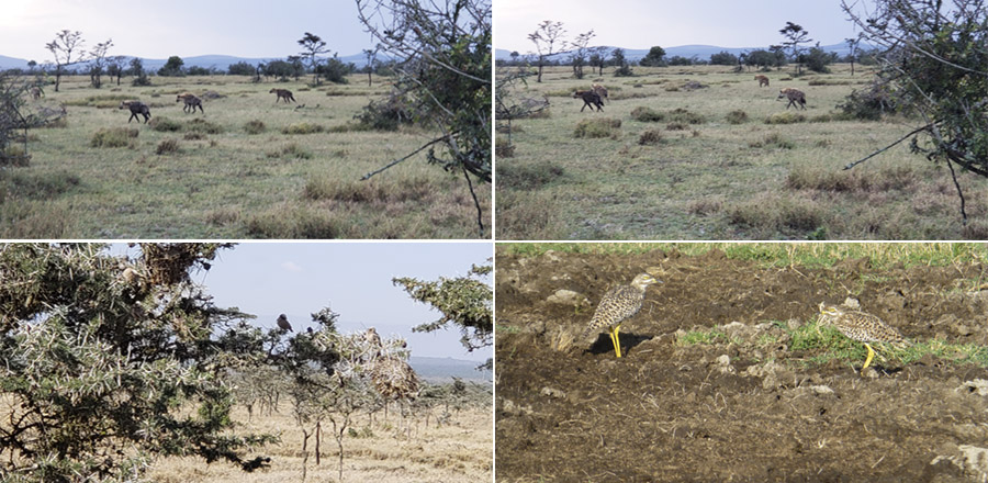 Kenya-Sept-2019-chptr02-14