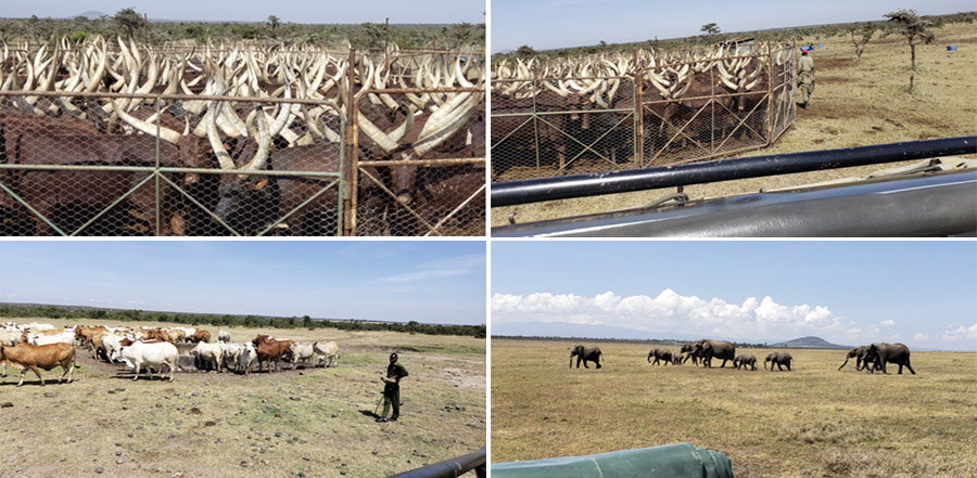 Kenya-Sept-2019-chptr02-15