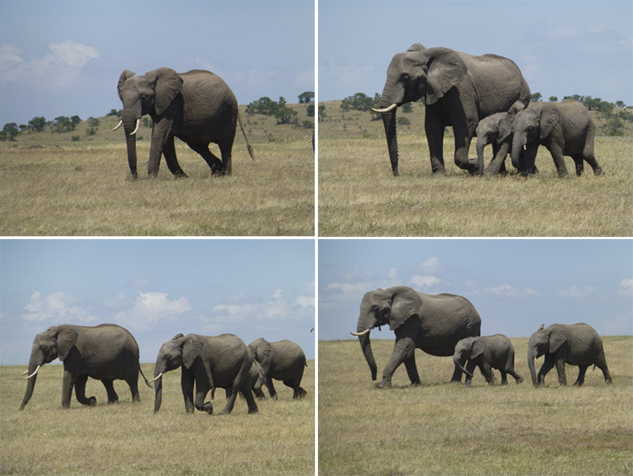 Kenya-Sept-2019-chptr02-17