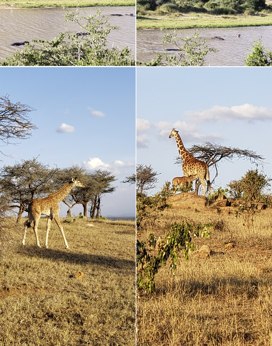 Kenya-Sept-2019-chptr02-19