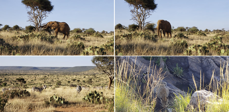 Kenya-Sept-2019-chptr02-21