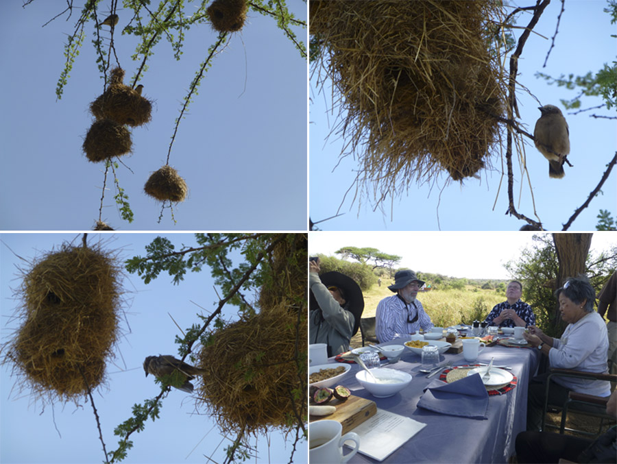 Kenya-Sept-2019-chptr02-26