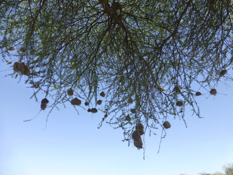 Kenya-Sept-2019-chptr02-27