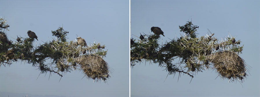 Kenya-Sept-2019-chptr02-28