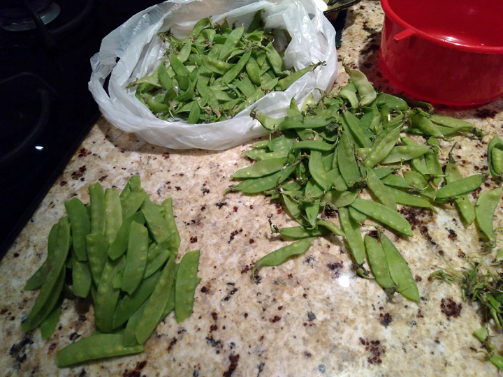 Pete-Bday-Feb-2020 (11)