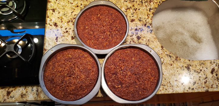 Rons-83rd-BDay-Jul-24-2020 (6)