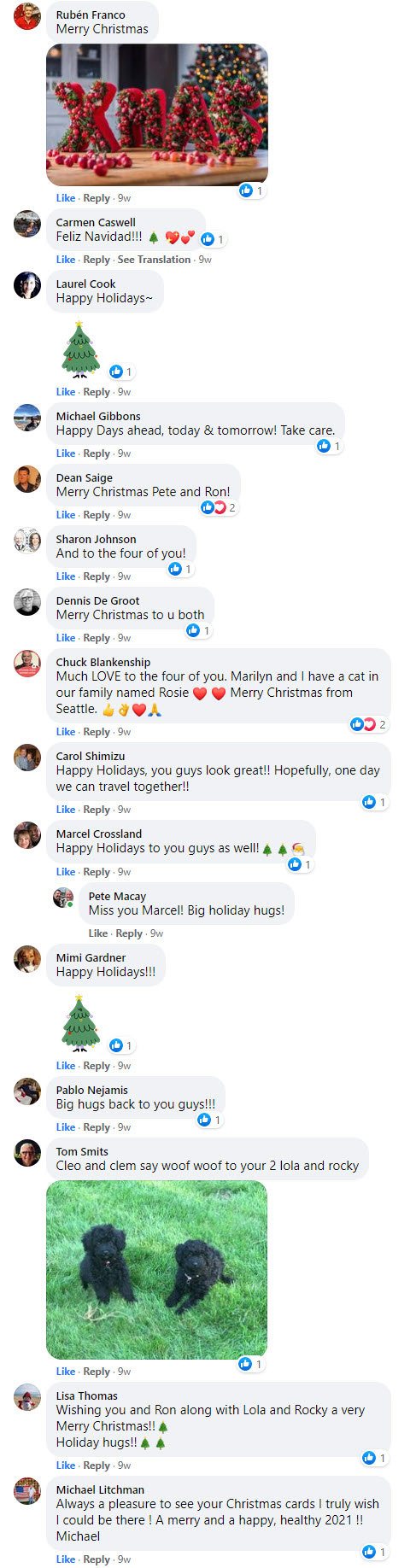 Icicle Lights Dec 2 2020-11