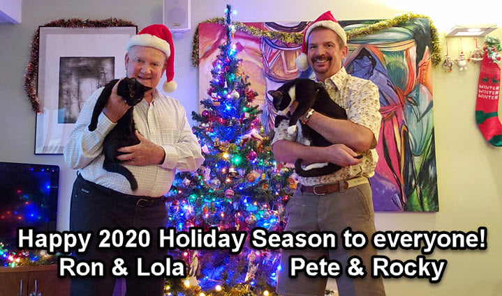 Icicle Lights Dec 2 2020-7