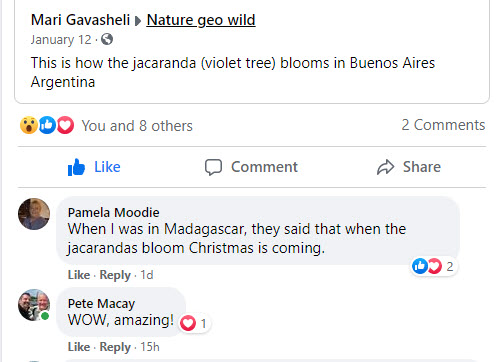 SpringTimeInBsAs-12-2020-10