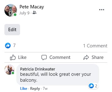 July 9 2021 (7)-comments