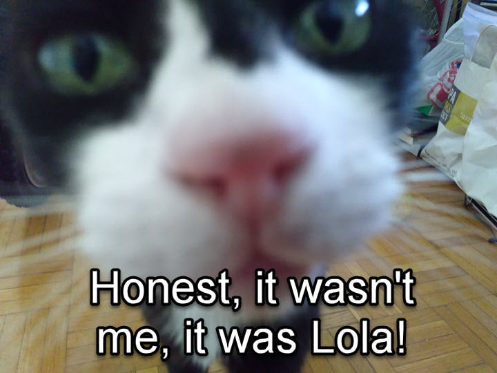 Sushi and Cake Jul 13 2021-002