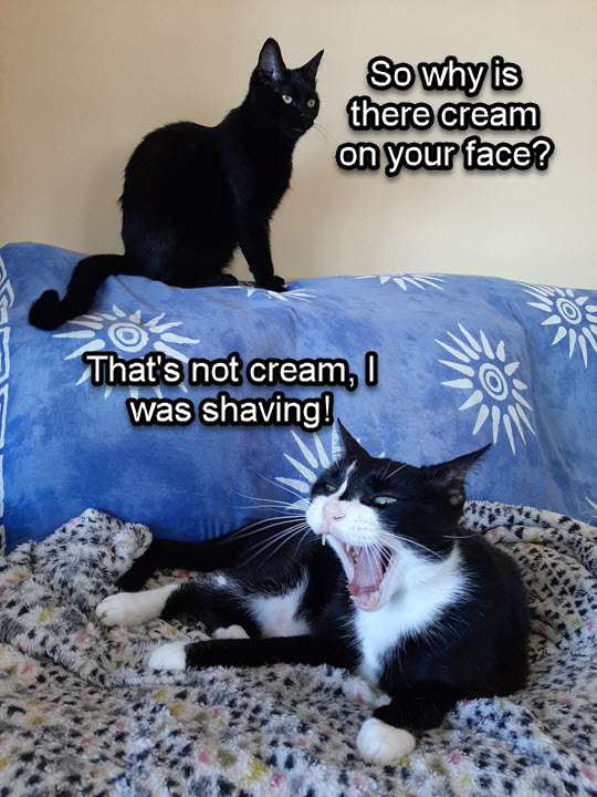 Sushi and Cake Jul 13 2021-003