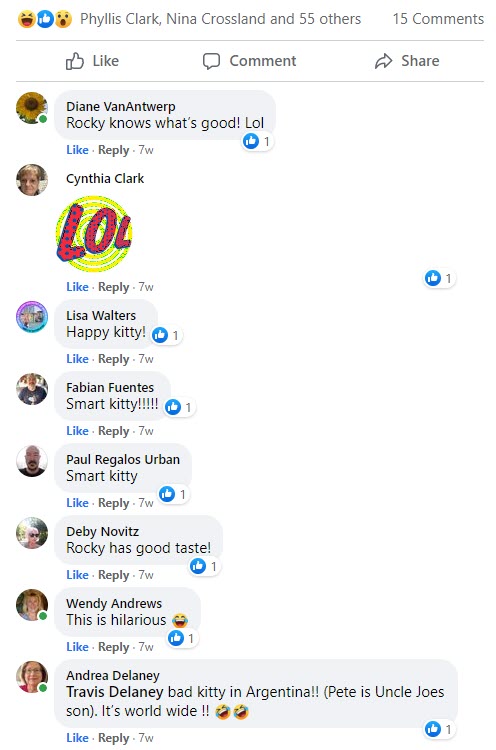 Sushi and Cake Jul 13 2021-comments 1