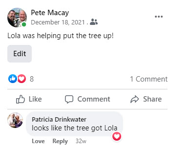 2022-08-XMas-03-comments