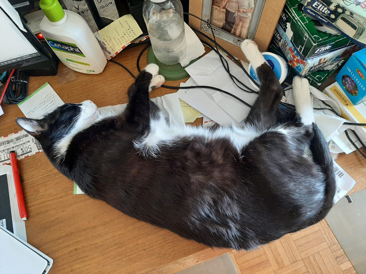 2021-01-14-HottestDayOfYear-04