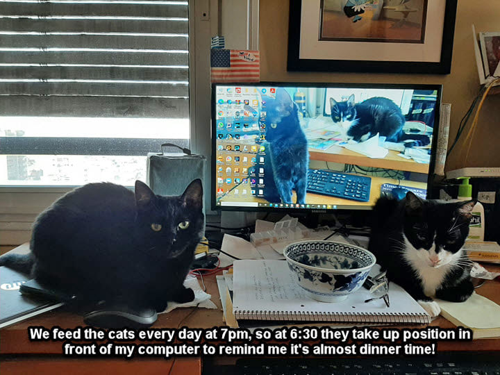 2021-02-03-PetesBDay-08