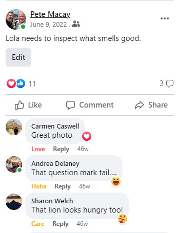 2022-06-04-LeftOverDinner-009