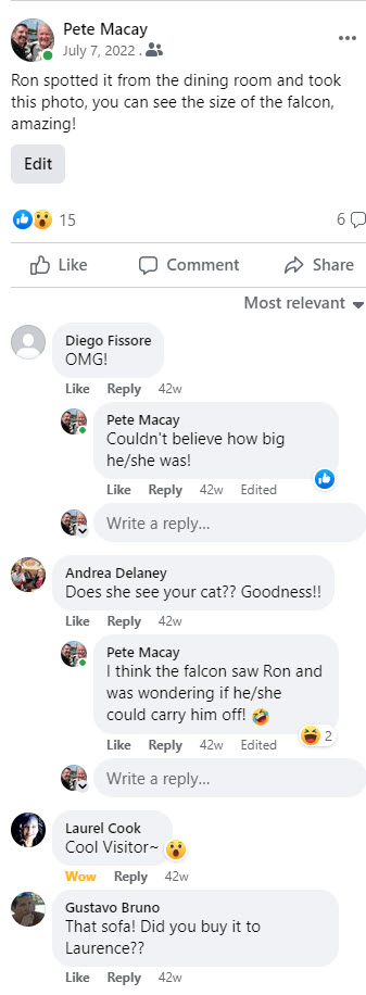 2022-07-07 Huge Falcon 003