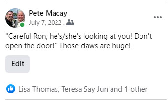 2022-07-07 Huge Falcon 005