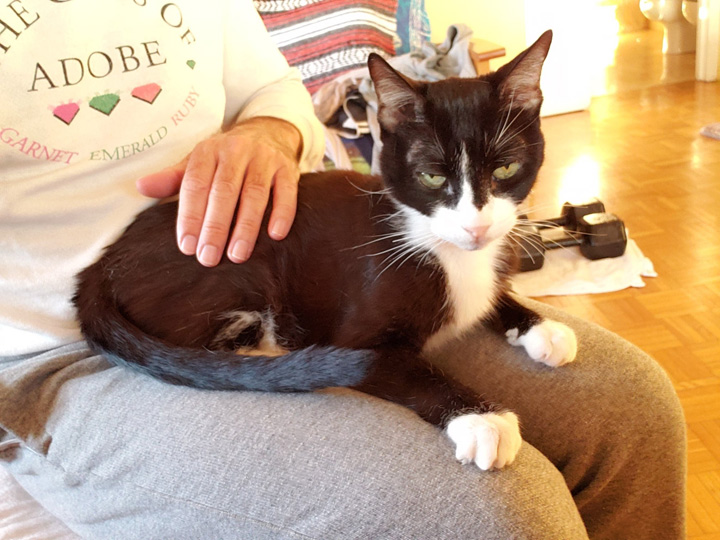 2022-07-13-RockyWarmLap-002