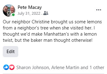 2022-07-31-RonsLemonPies-003