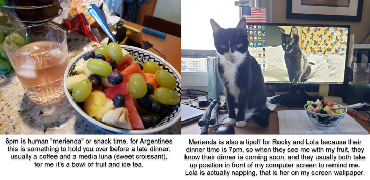 2022-09-21-CatRoutine-002