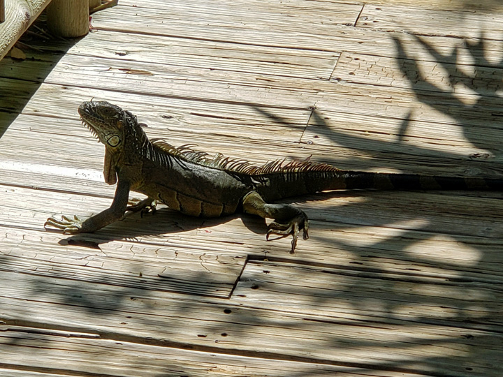 2023-06-17-41stAnniversary-09