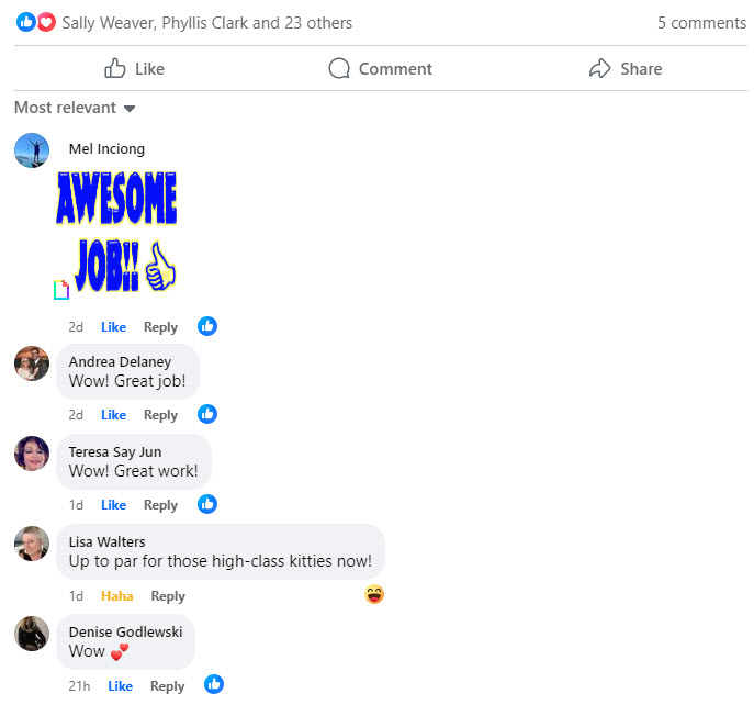 2024-08-08-Refinishing the Cat Box-03