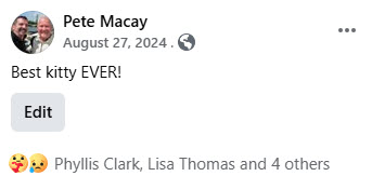 2024-08-08-RockyPassesOverTheRainbowBridge-02