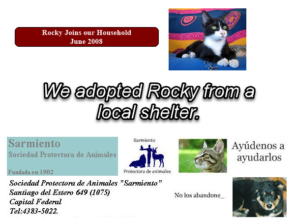 2024-08-08-RockyPassesOverTheRainbowBridge-04