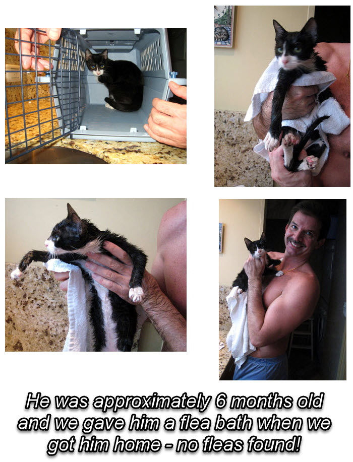 2024-08-08-RockyPassesOverTheRainbowBridge-05