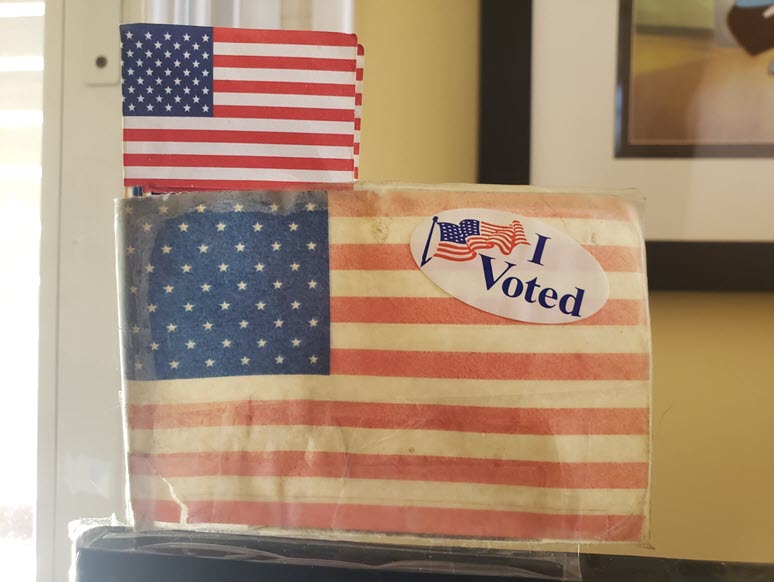 2024-09-04-Voting-02