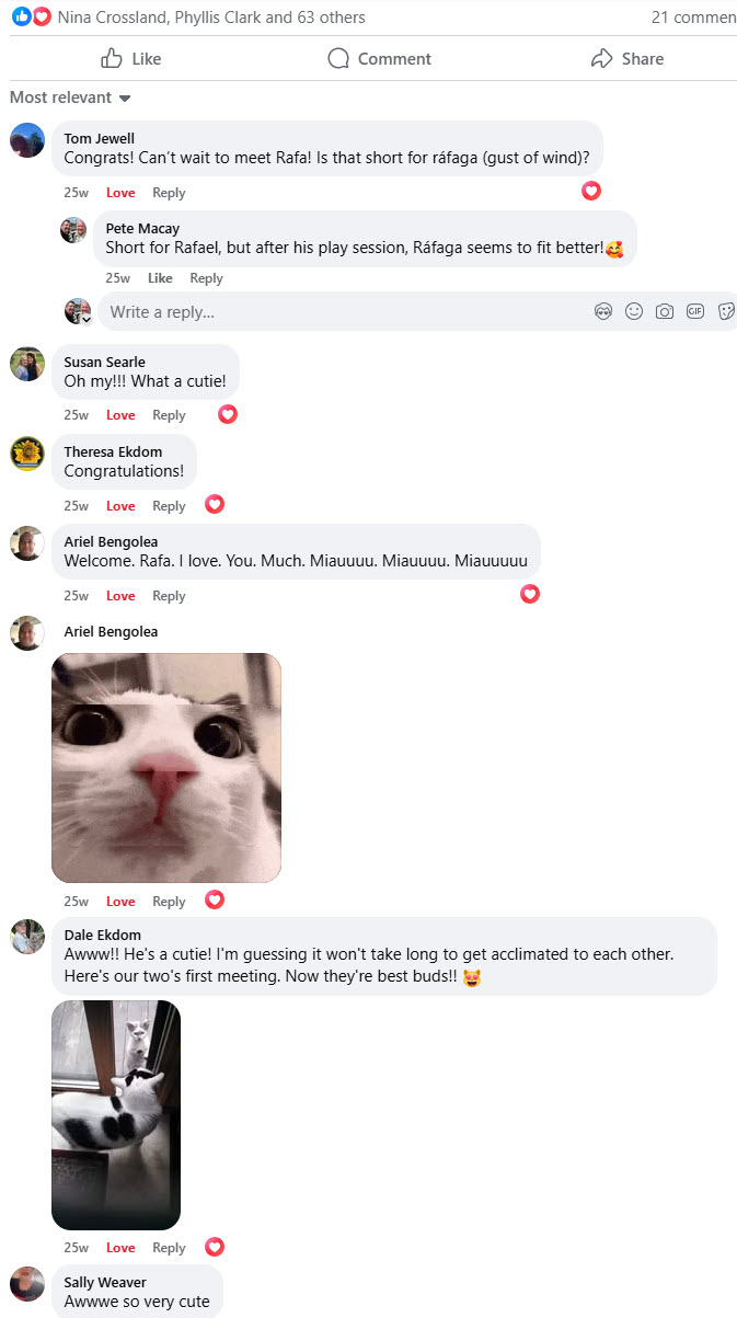 2024-10-01-AdoptingRafa-01-comments1