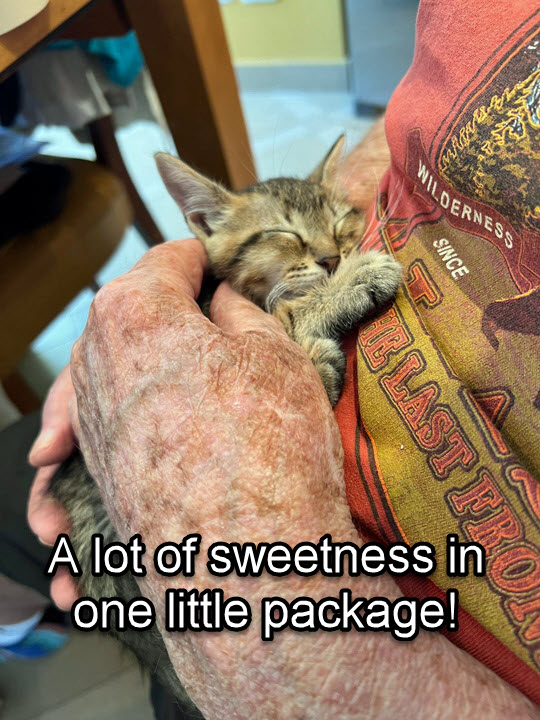 2024-10-01-AdoptingRafa-12