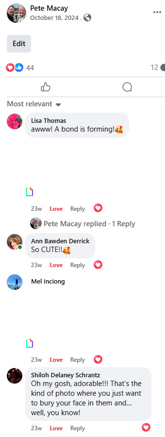 2024-10-03-Updating FB Title page-05