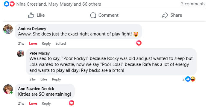 2024-11-01-1 Month Anniversary with Rafa-comments