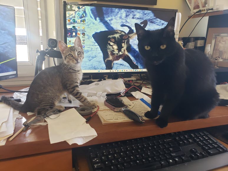 2024-12-01-Rafas 2 month Anniversary-04