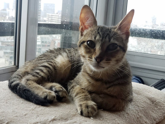 2024-12-01-Rafas 2 month Anniversary-08