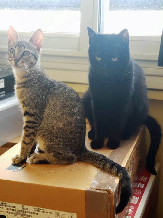 2024-12-01-Rafas 2 month Anniversary-10