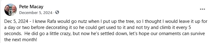 2024-12-02-Rafas 1st XMas Tree-01