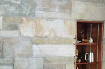 Cindy-Memorial-Sept-2017-129-bear