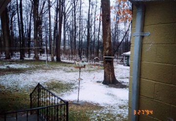 Cindy-Memorial-Sept-2017-134