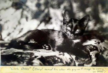 Cindy-Memorial-Sept-2017-152