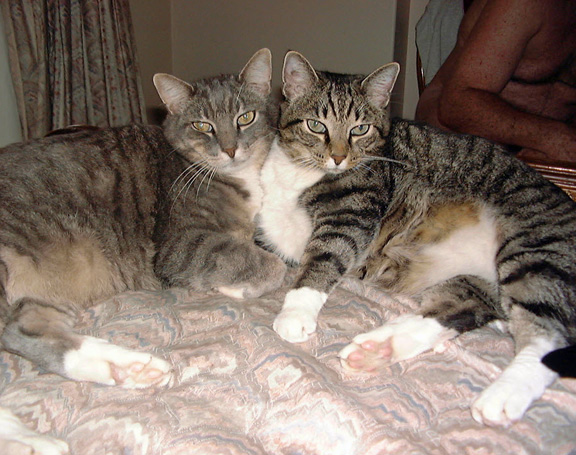 032 - Lorretta and Scarlett1