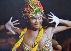 AA-Indonesia-2010-button