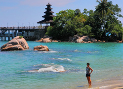 Malaysia-A-N-Pt-button