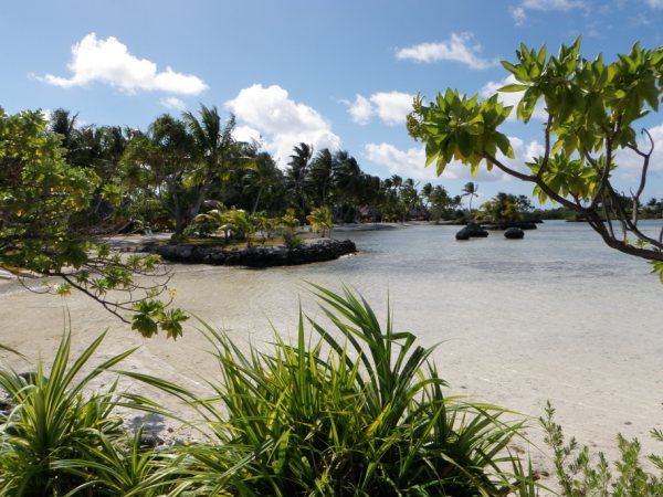 Tuamotu-C