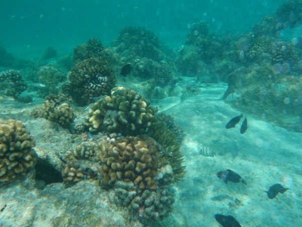 Tuamotu-I