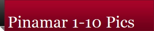 Pinamar 1-10 Pics