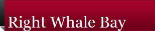 Right Whale Bay